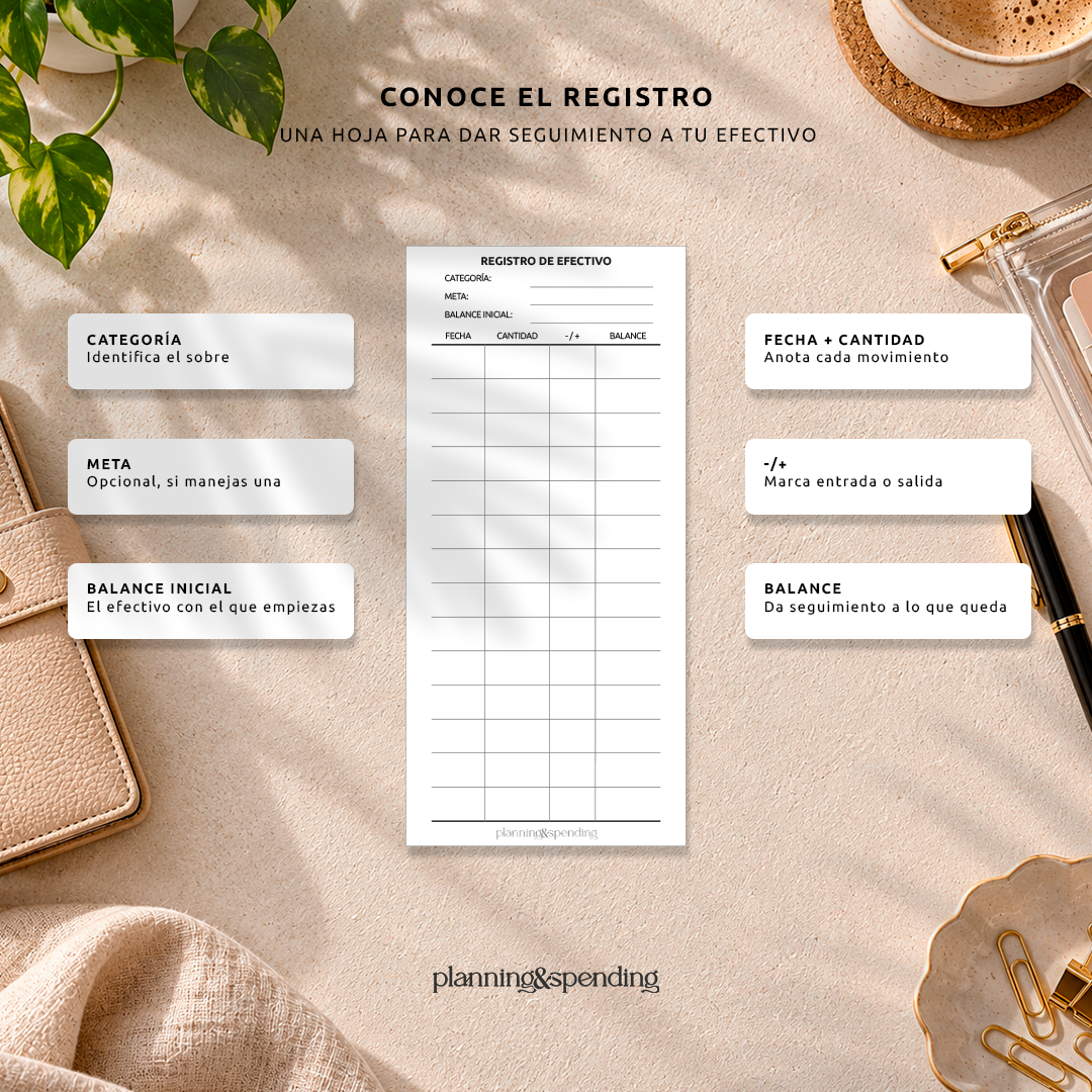 Partes del registro de efectivo: categoría, meta, movimientos y balance